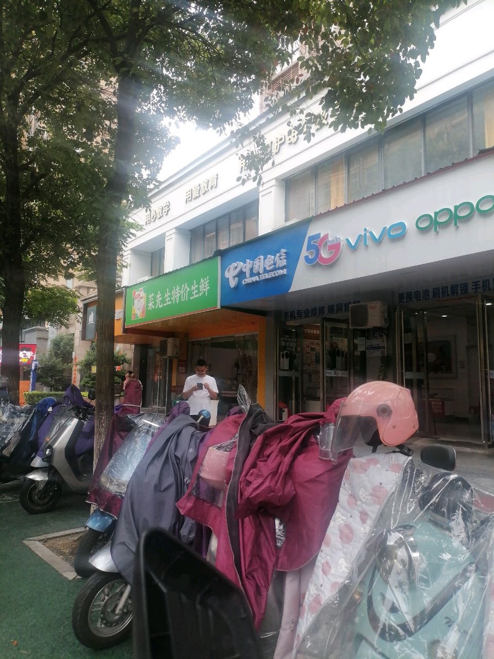 菜先生特价生鲜