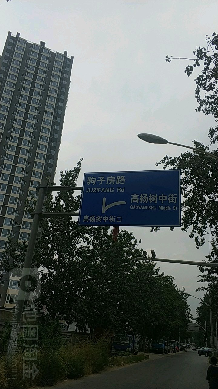 北京市朝阳区东坝路高杨树