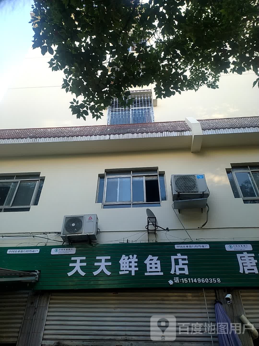 天天鲜鱼店
