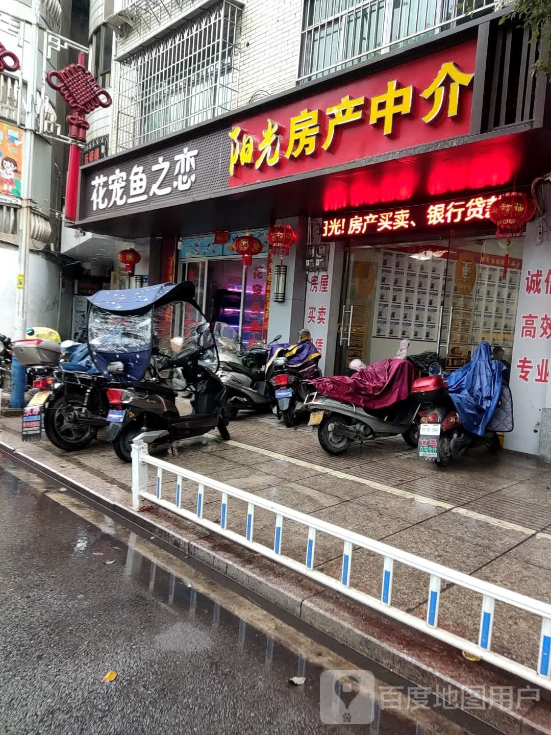 花宠鱼之恋