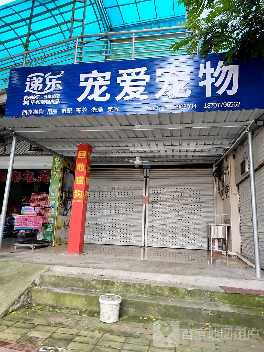 宠爱宠物(四川路店)