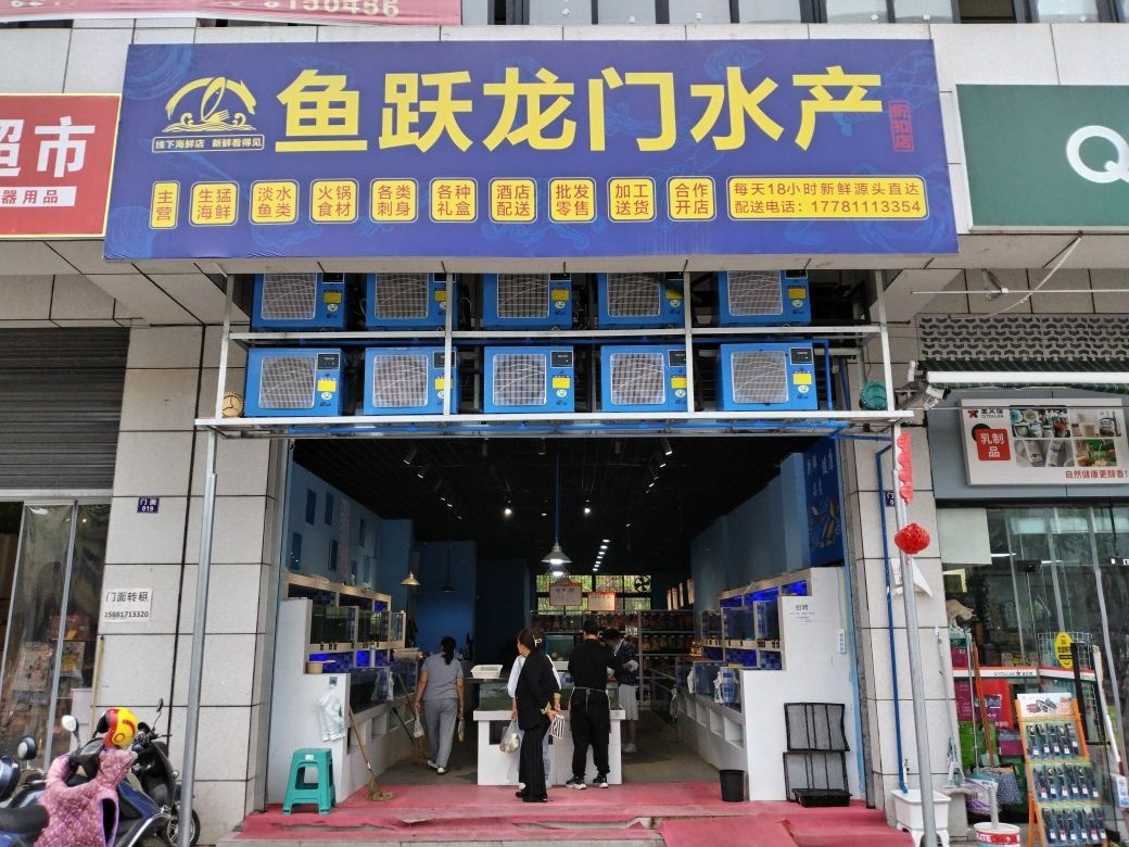 鱼跃龙门水产