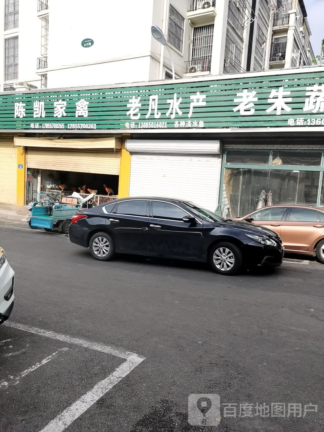 陈凯家禽