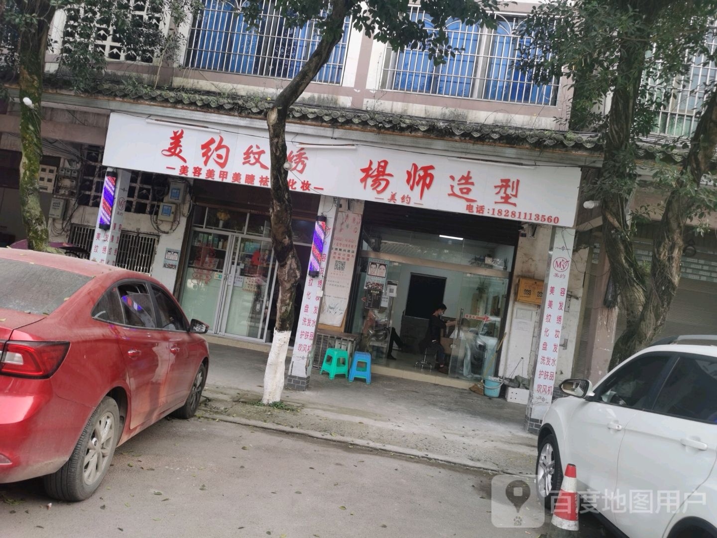 杨师造型