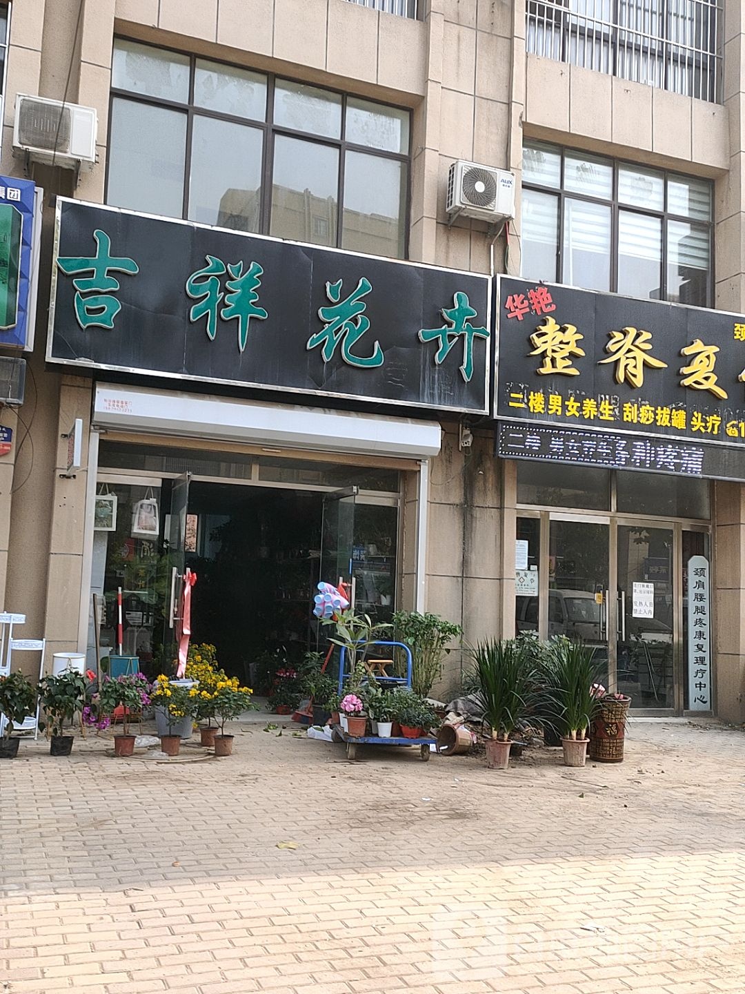 吉祥花卉