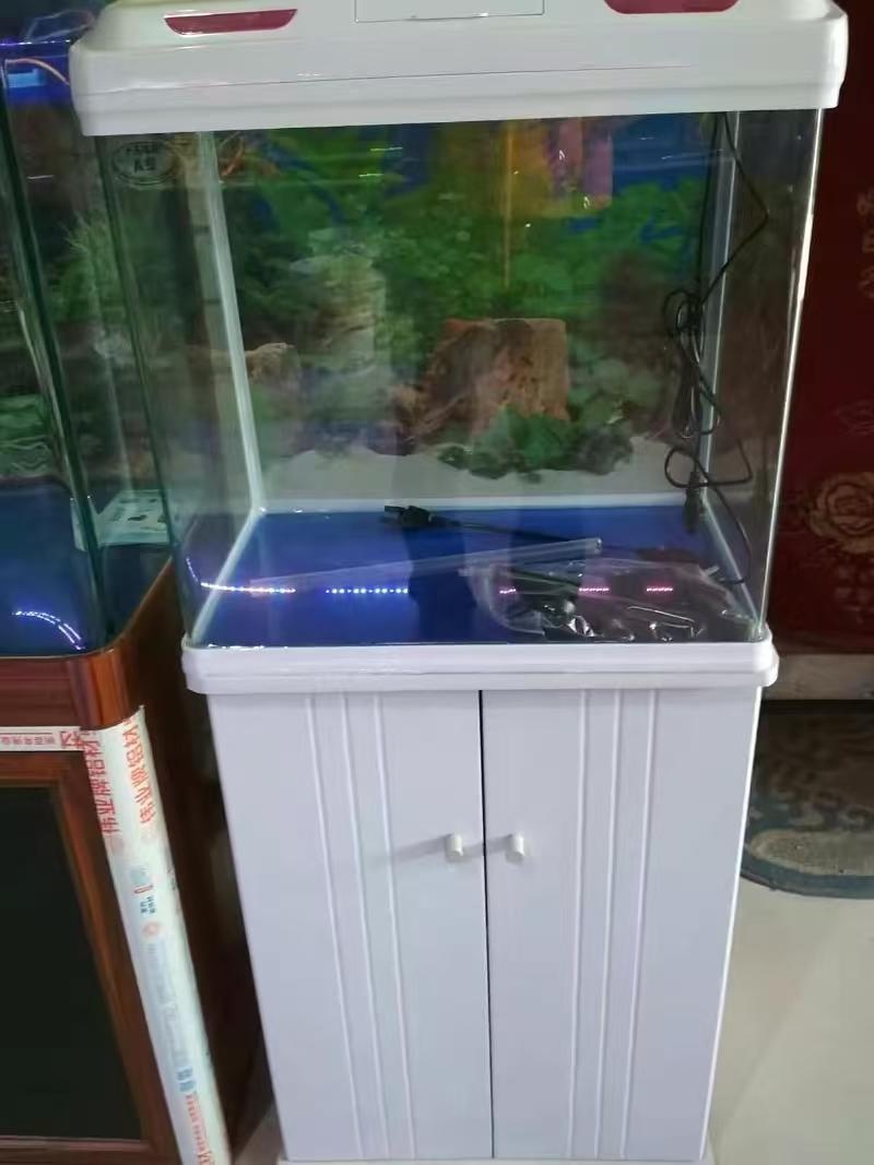 金鱼景水族