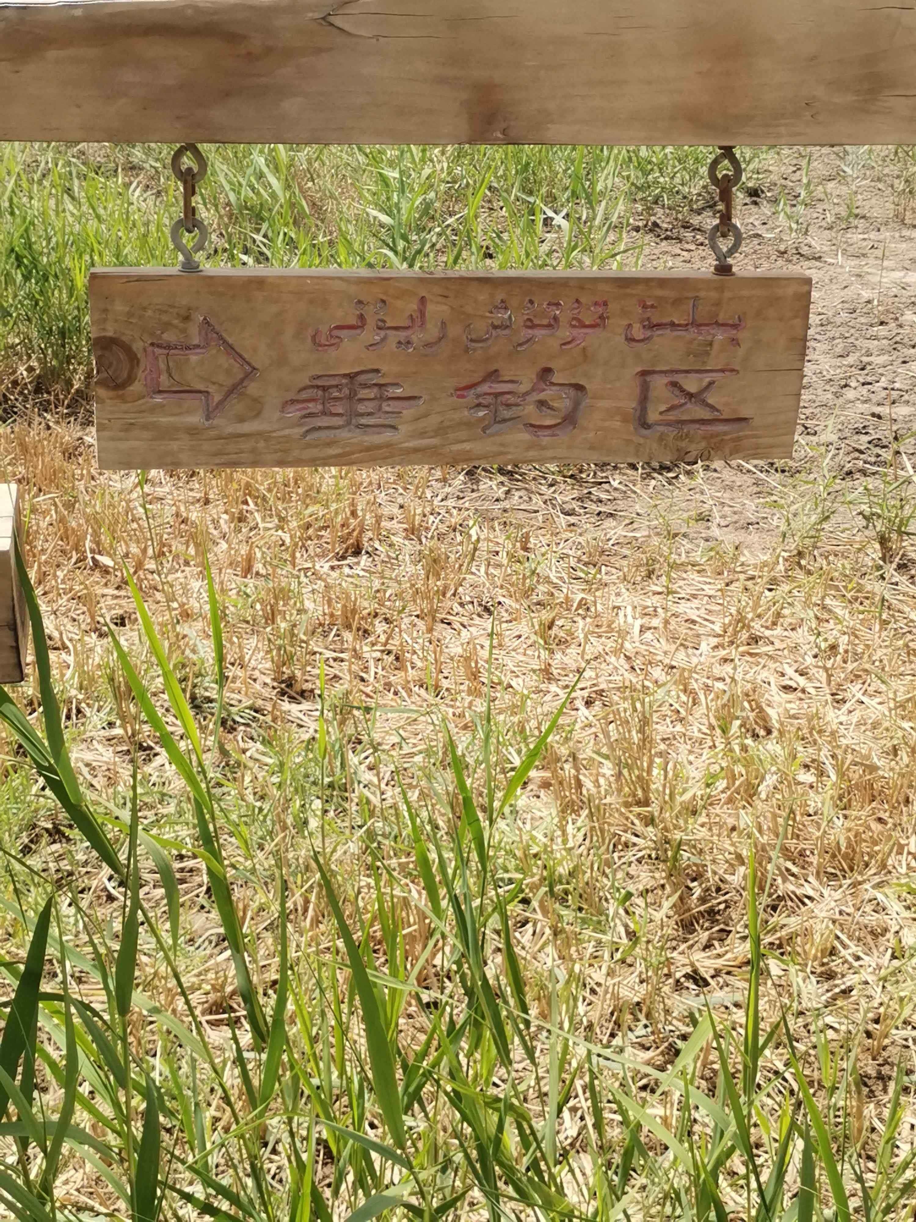 于田县龙湖旅游区-垂钓区
