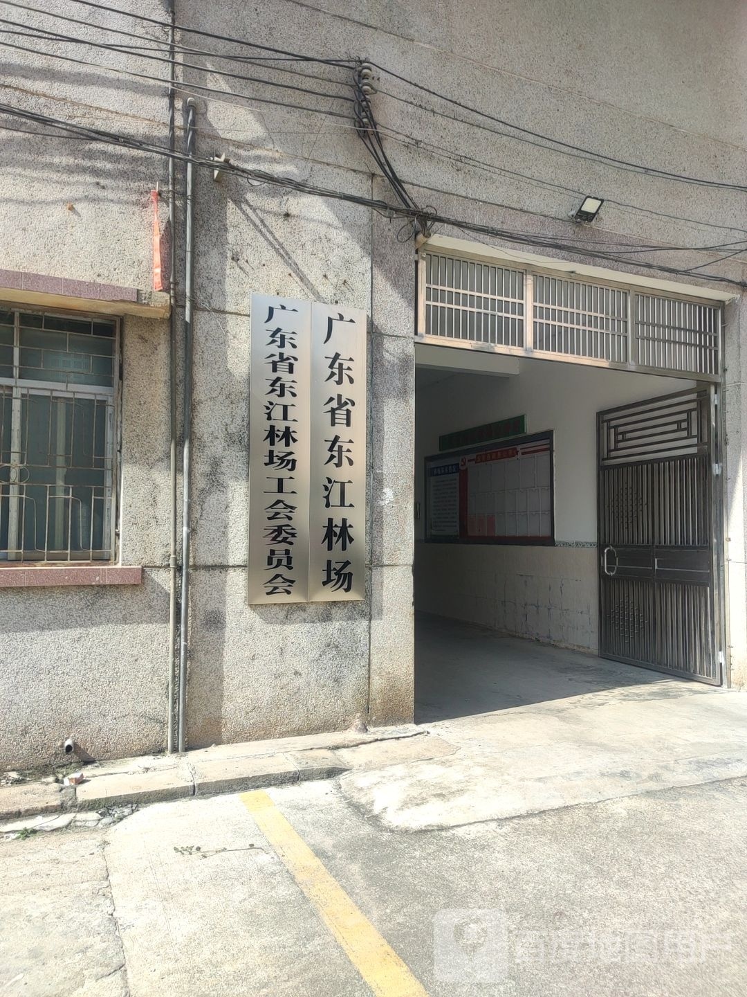 广东省东江林场