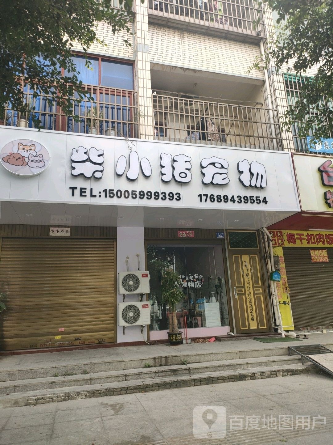 柴小猪宠物店