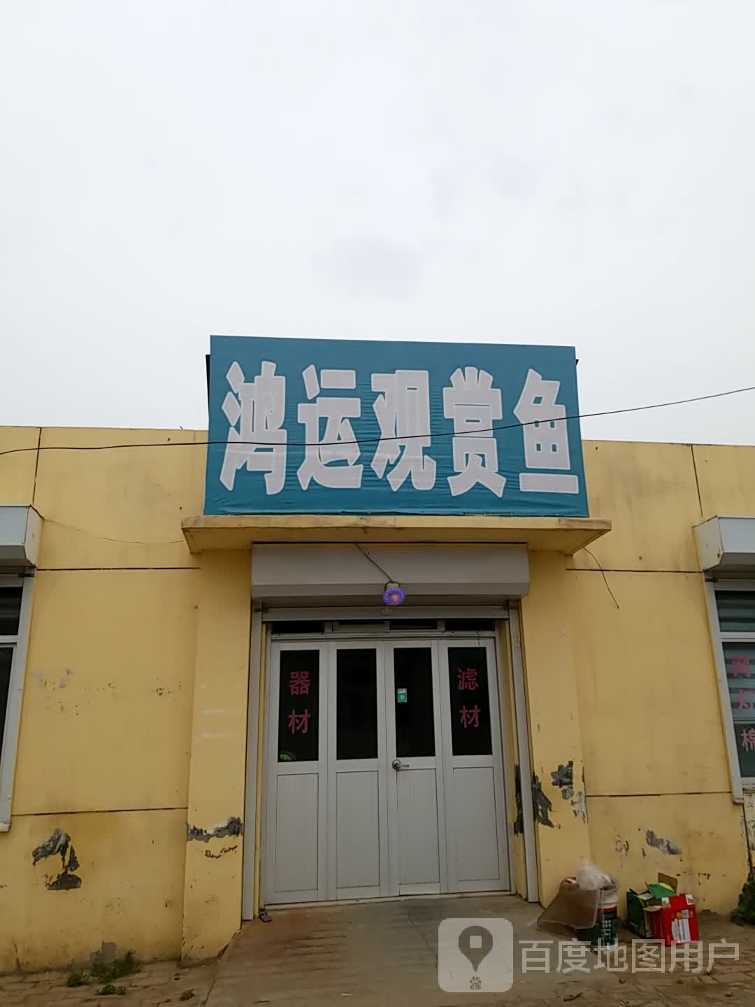 鸿运观赏鱼