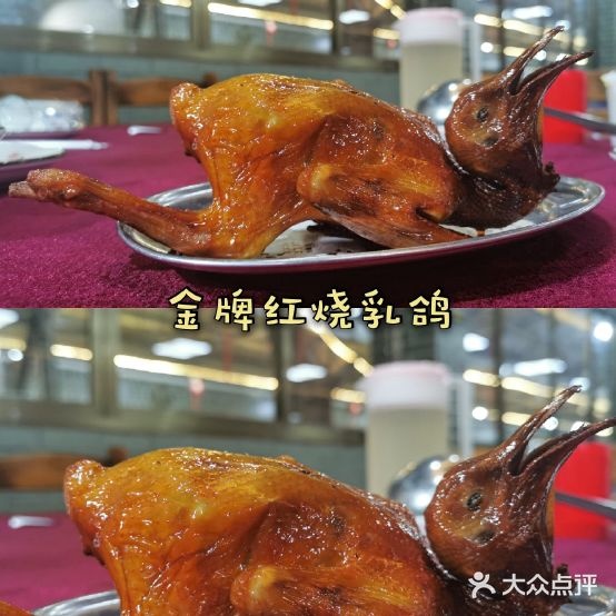 麻奢鸽农庄·梦里水乡