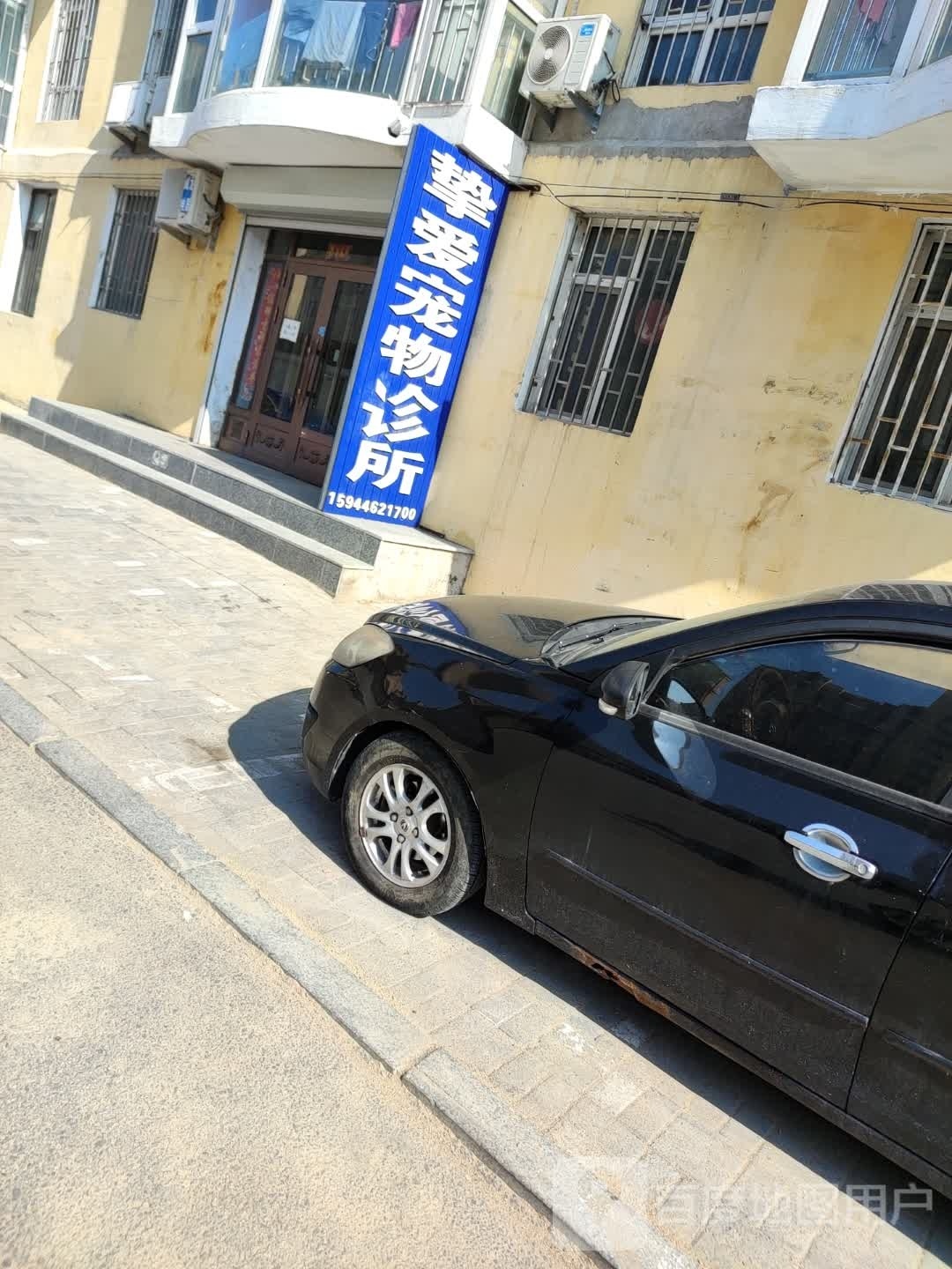 挚爱宠物诊所(南湖街店)