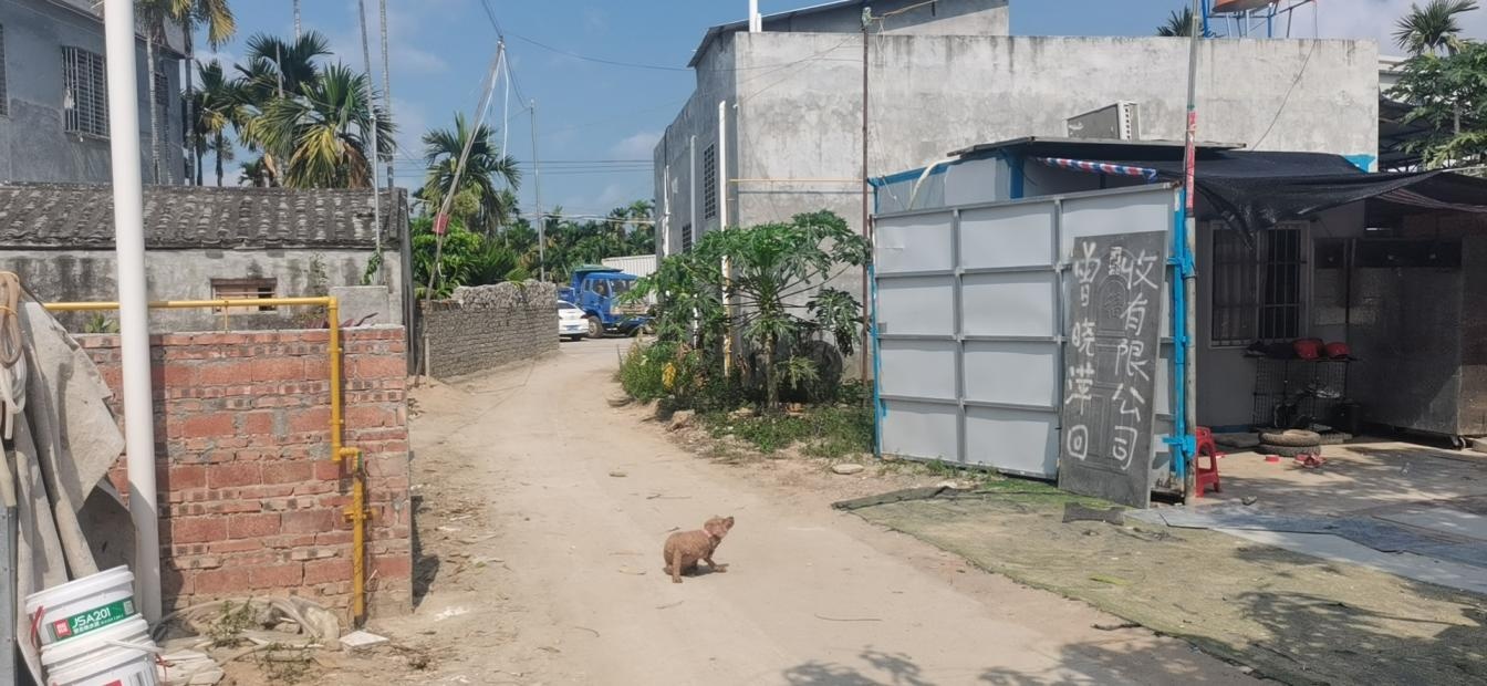 曾晓萍再生资源回收有限公司