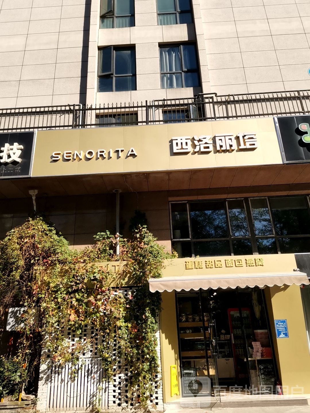 SENORITA蛋糕甜品