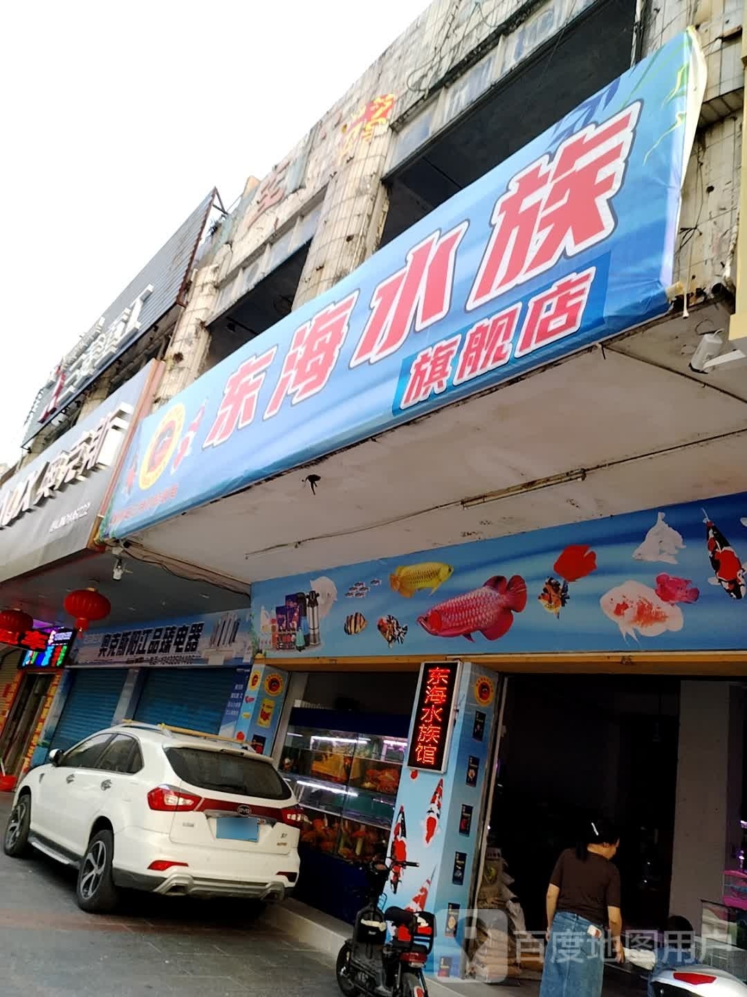 东海水族旗舰店