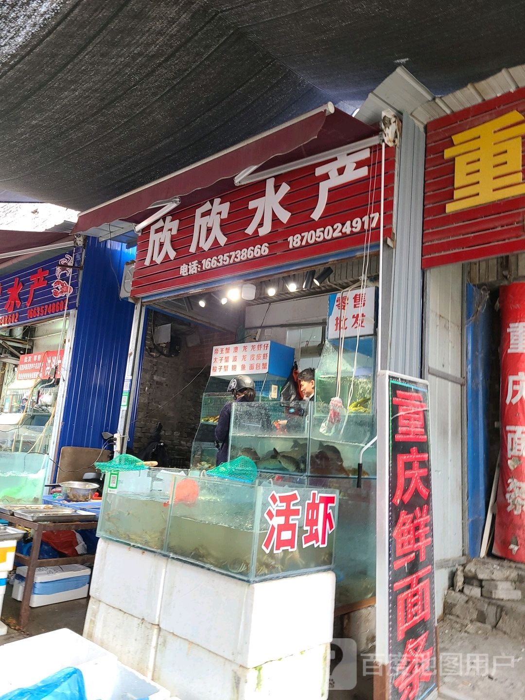 鑫鑫水产