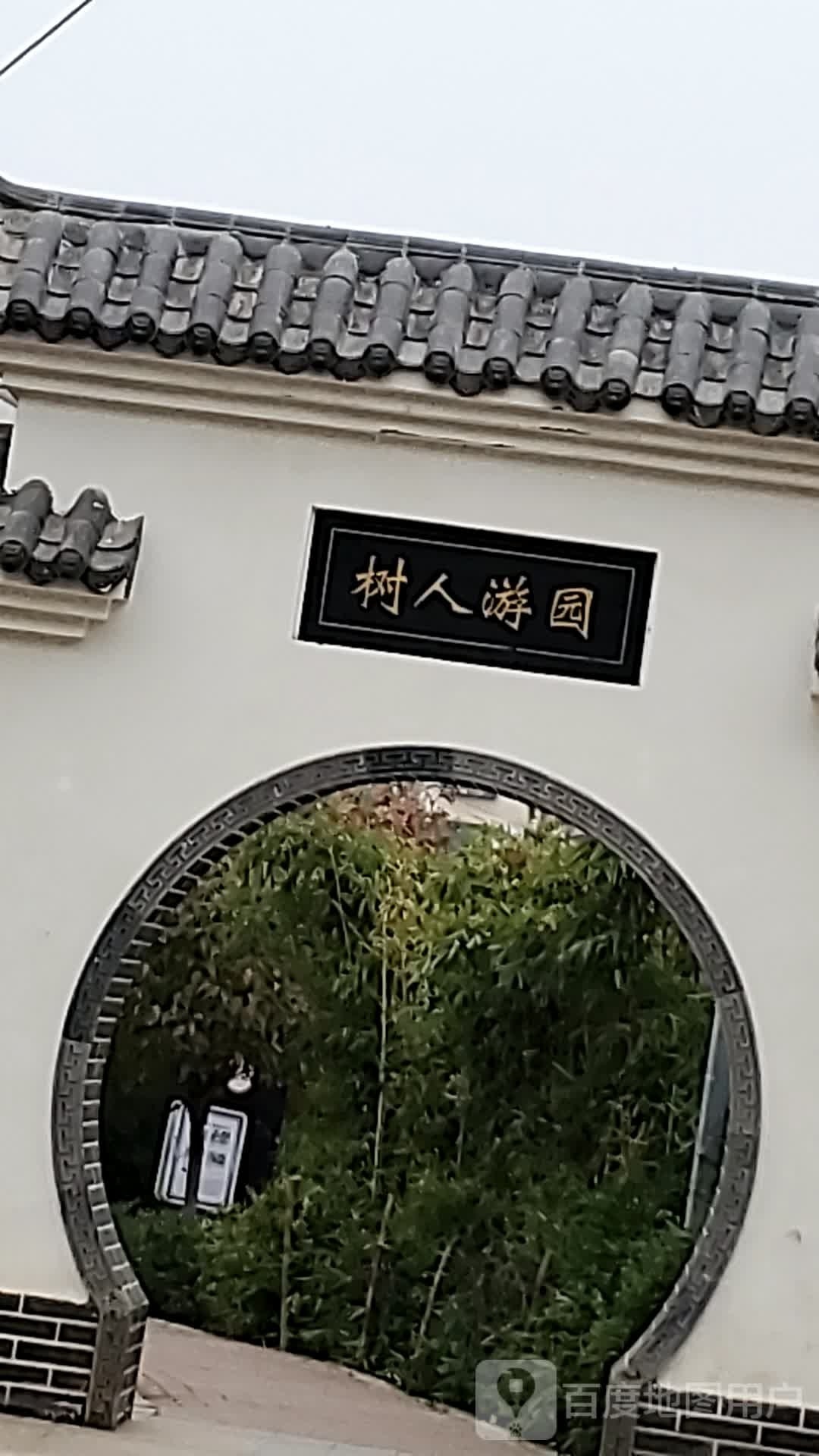 树人游园