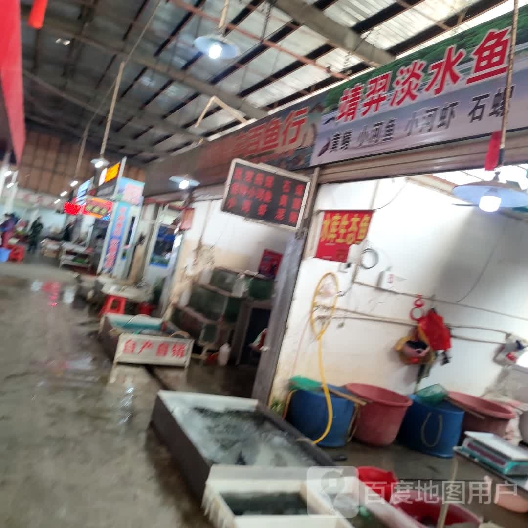 靖羿淡水鱼