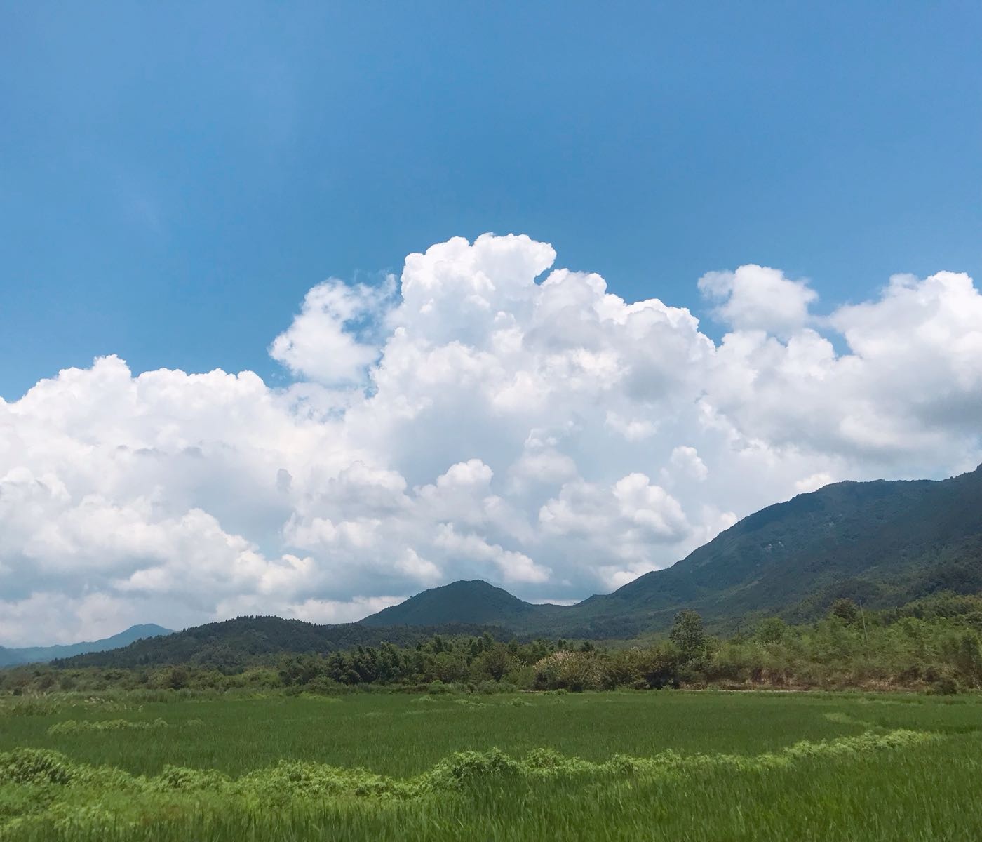 黄山风景区-西大门售票处