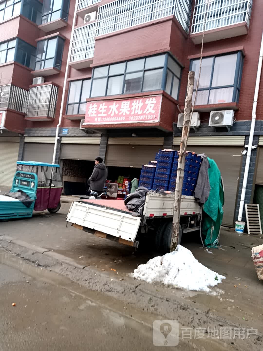 桂生水果批发