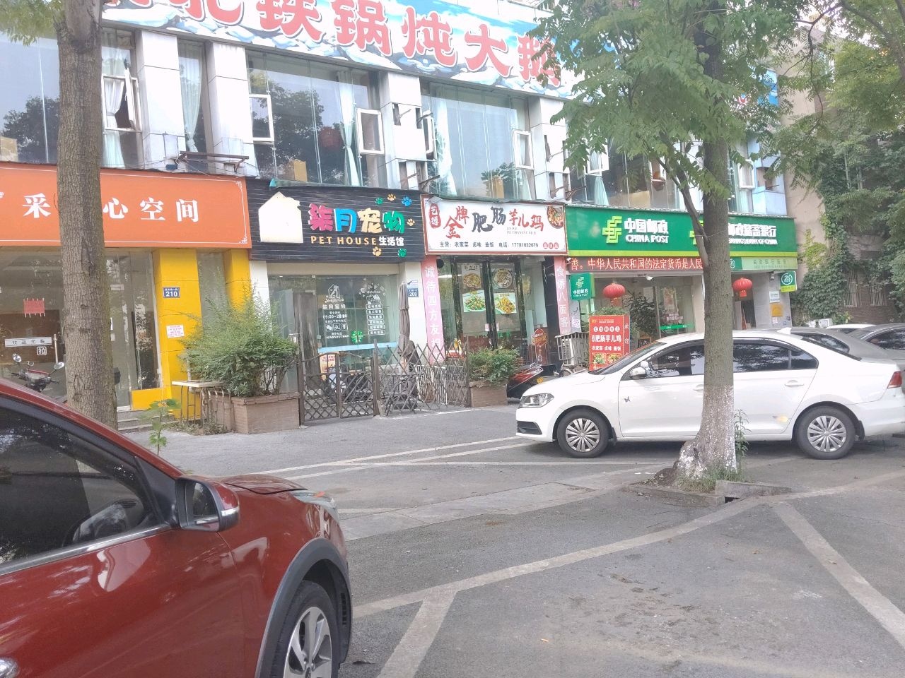 柒月宠物生活馆(蓝安路一段)