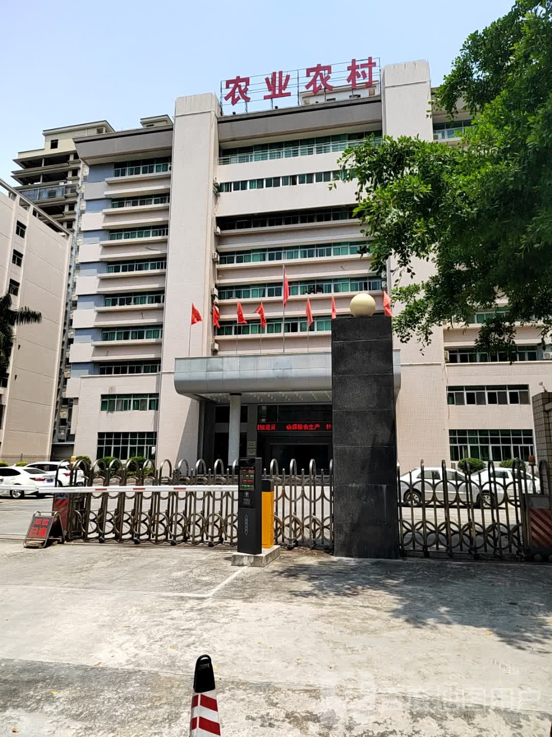广东省揭阳市农业农村局-南门
