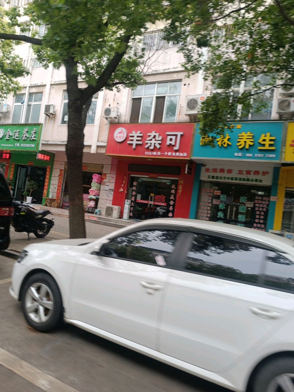 淑林养生