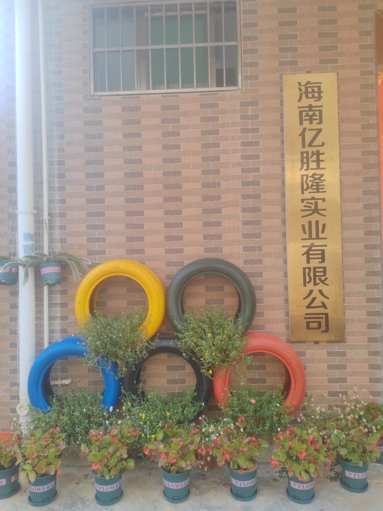 海南亿胜隆实业有限公司
