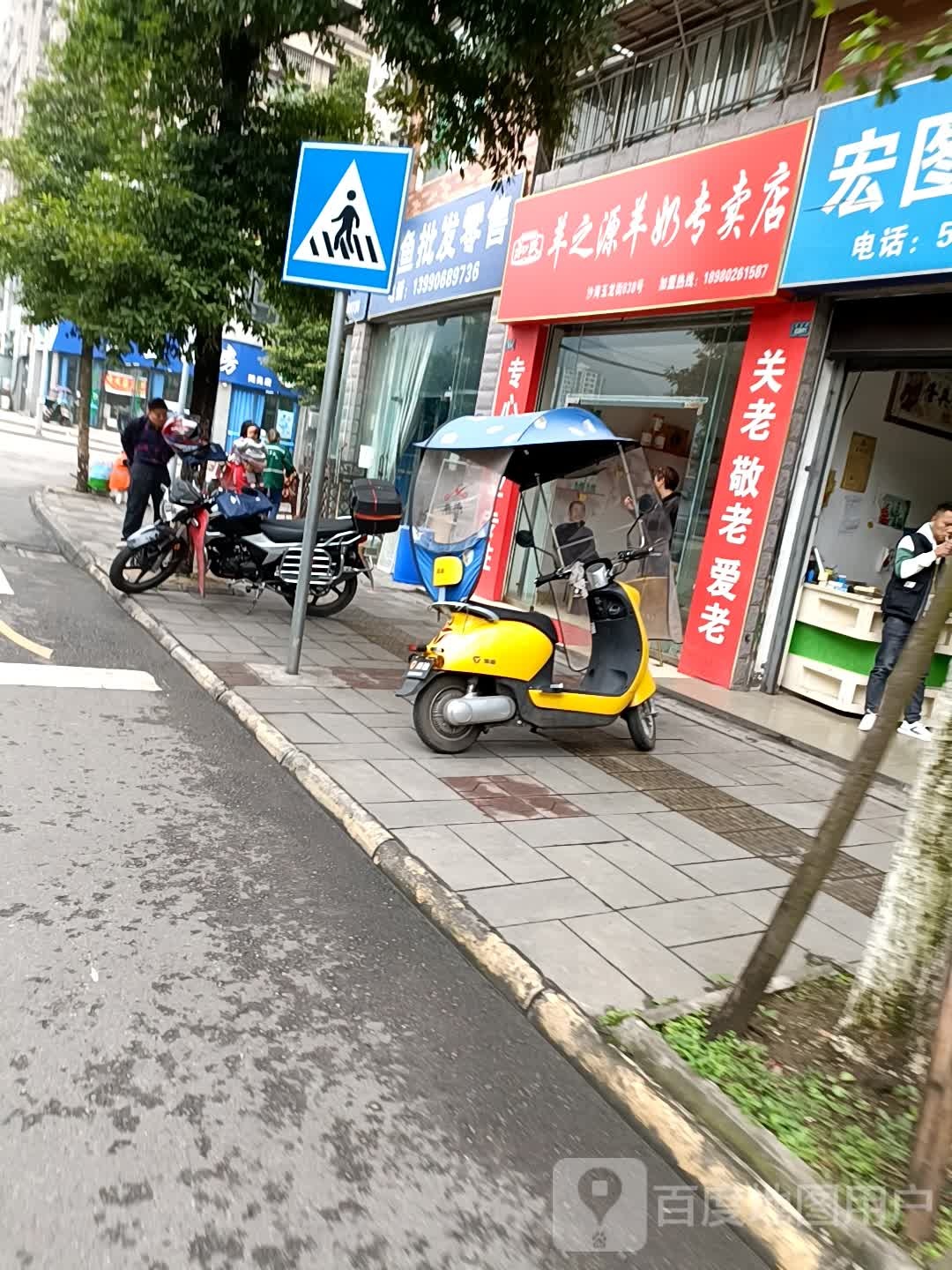 鲜鱼批发零售