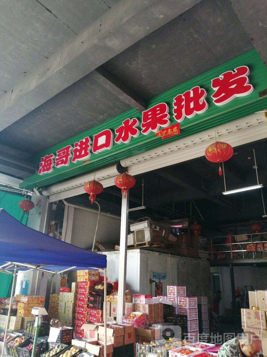 海哥进口水果批发