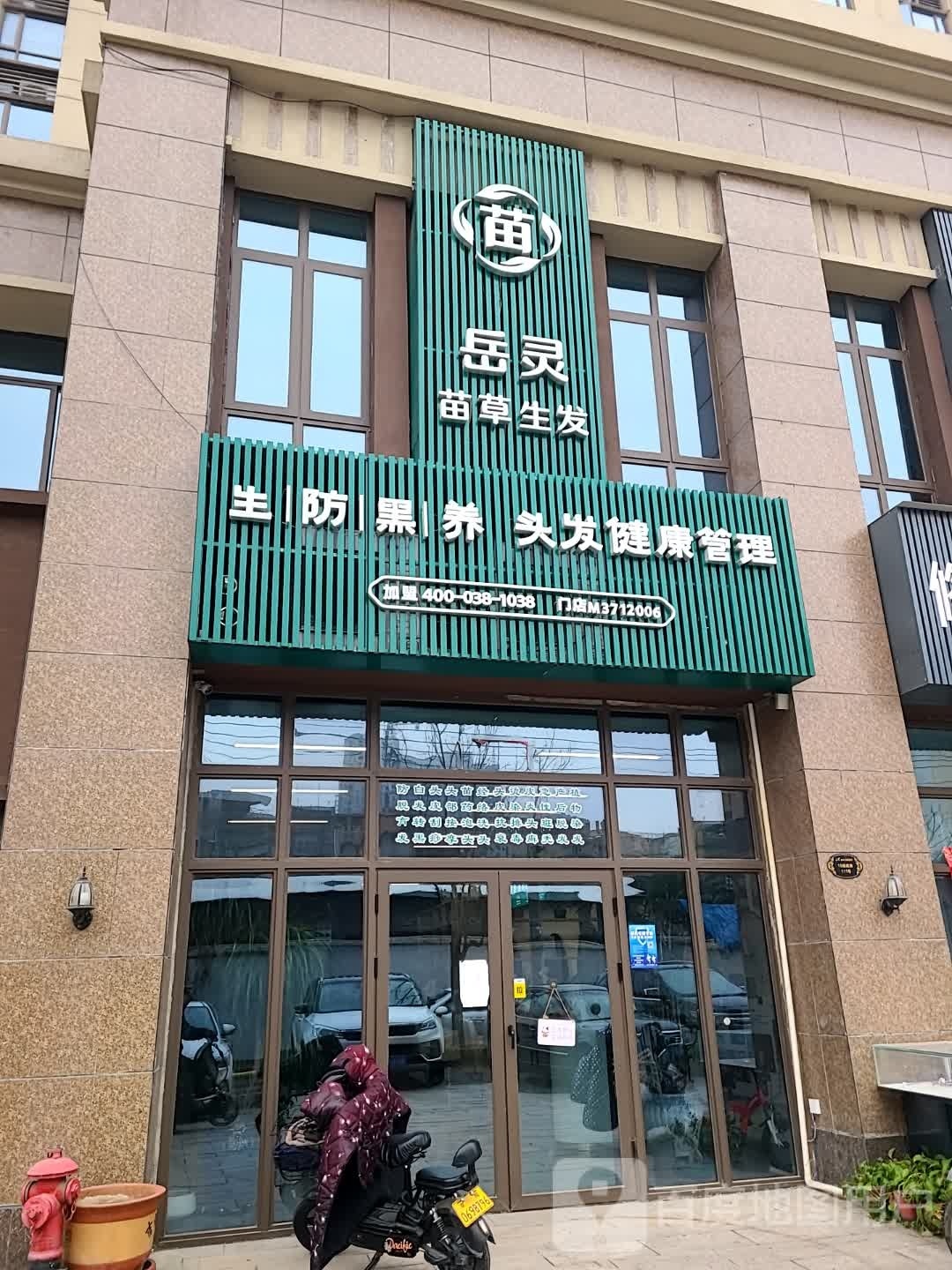 岳灵苗草生发(碧桂园首府店)