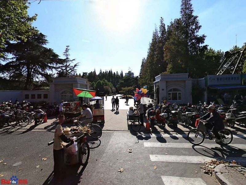 杨浦公园游乐场