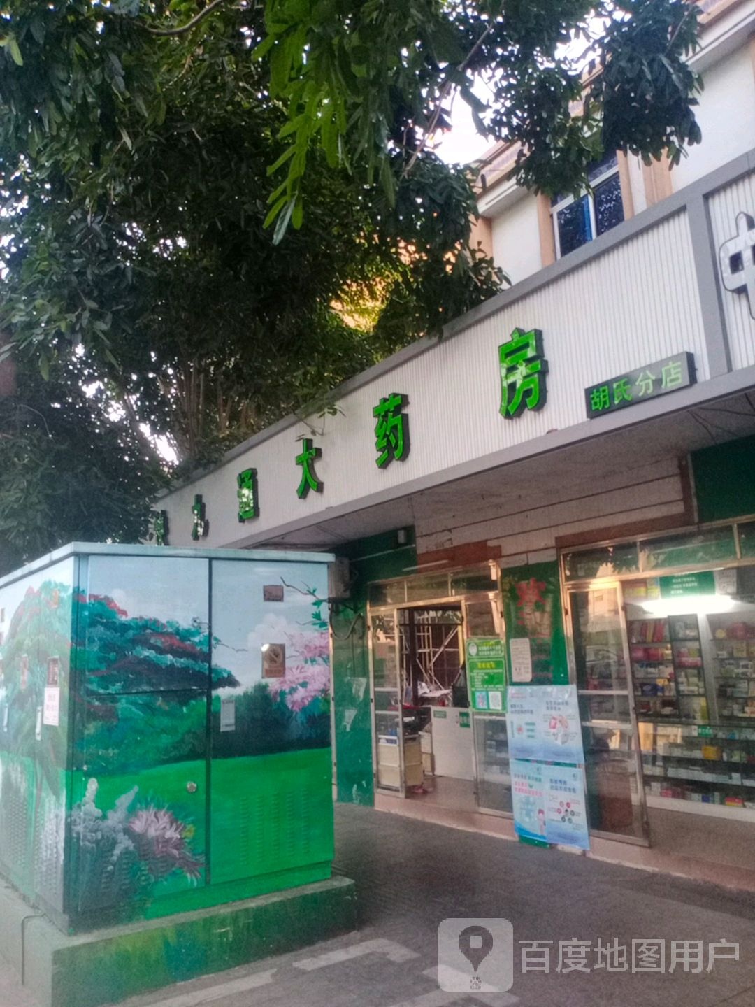 快九通大药房(胡氏分店)