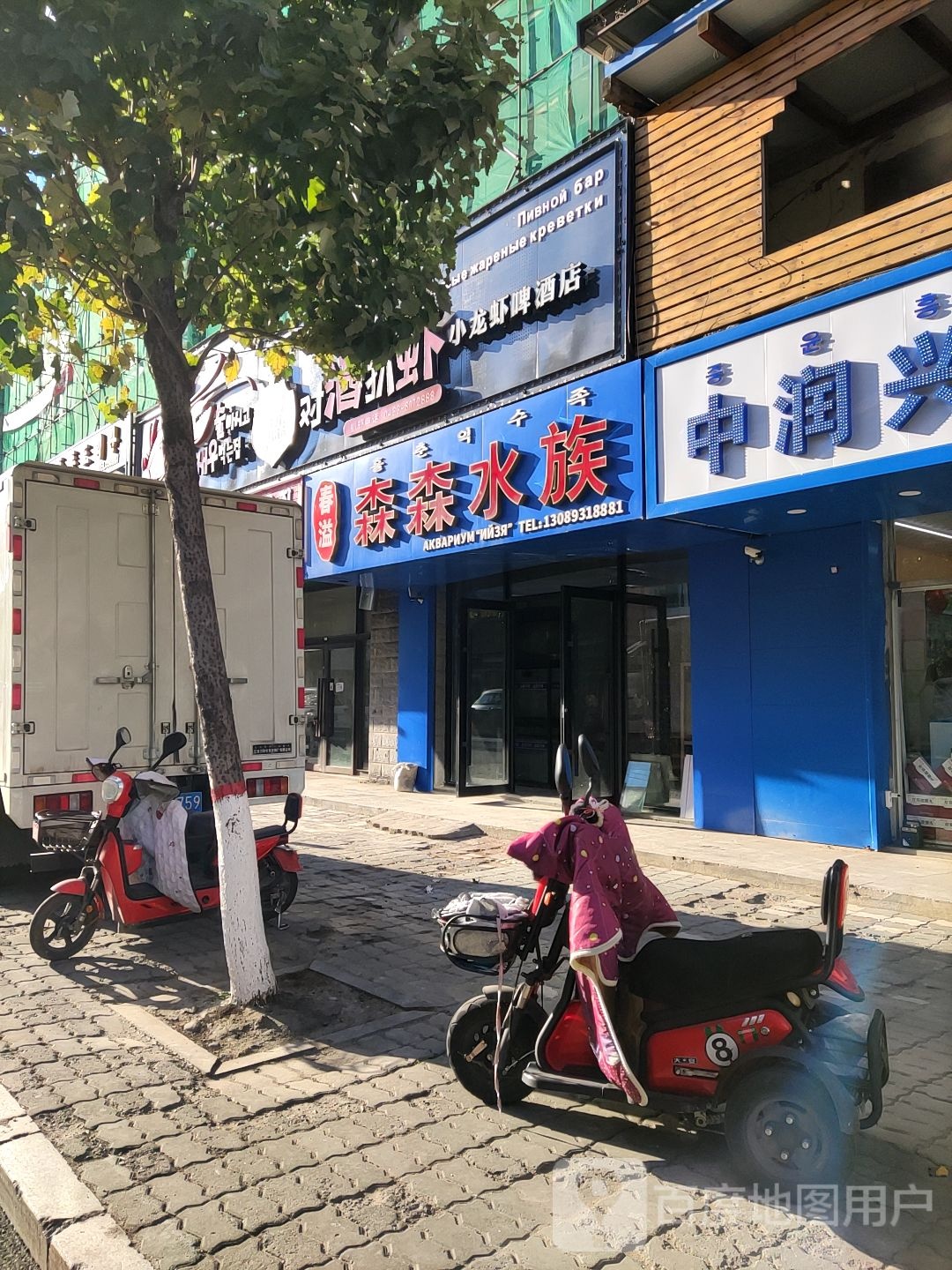 森森水族(建设街店)