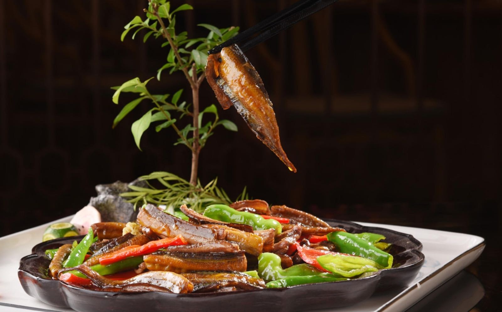 宜宾食在石海
