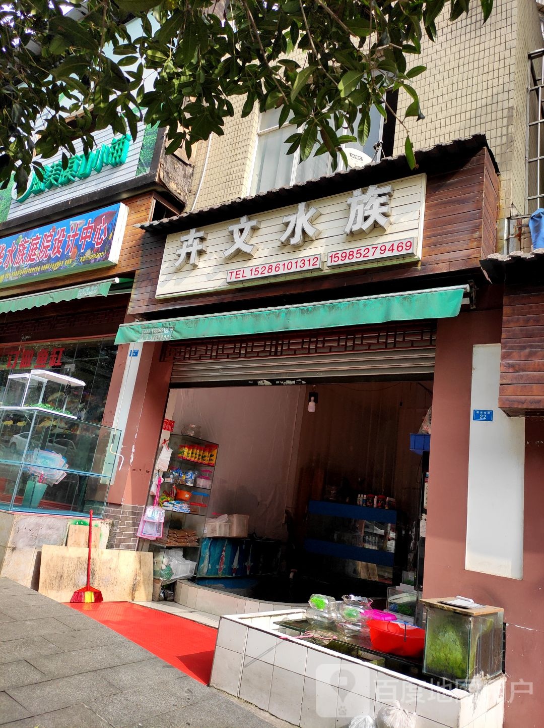 卉汶水族