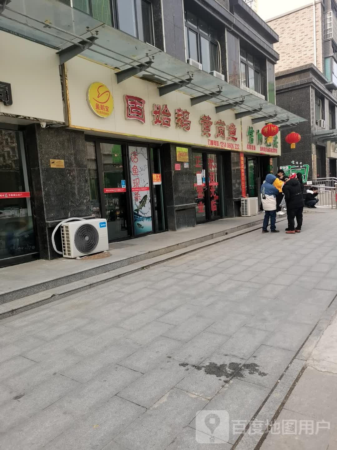 信阳毛尖(五一路店)