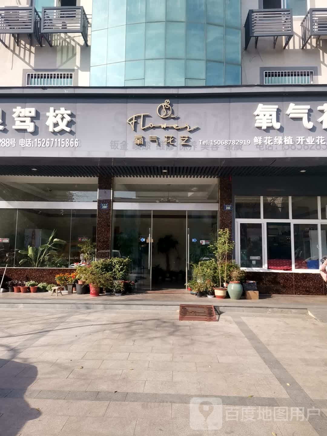 氧气花艺O Flower