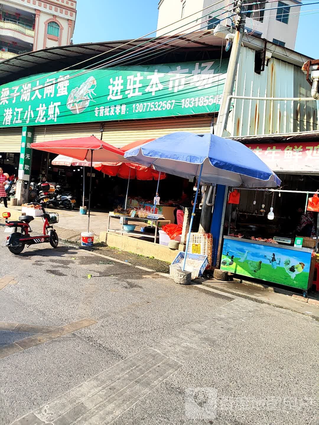 梁子湖大闸蟹潜江小龙虾