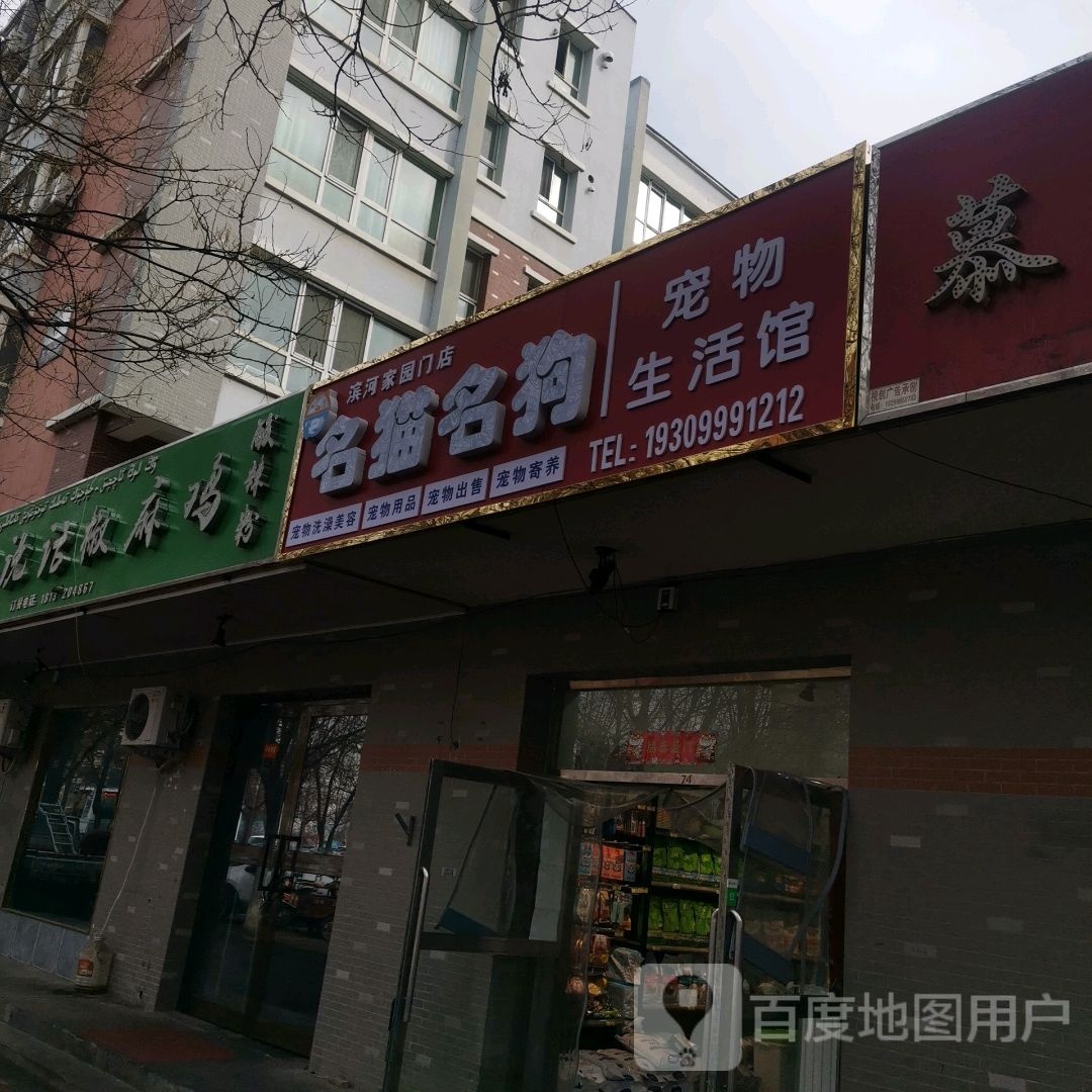 名猫名狗宠物生物馆(滨河家园门店)