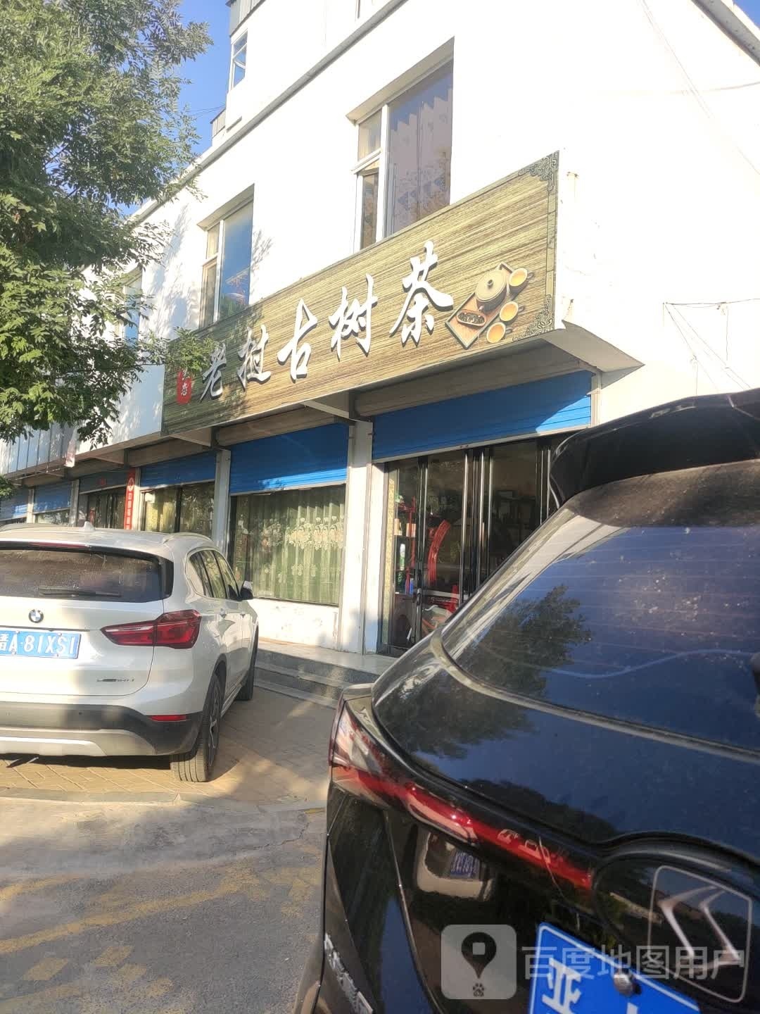 老挝古树茶