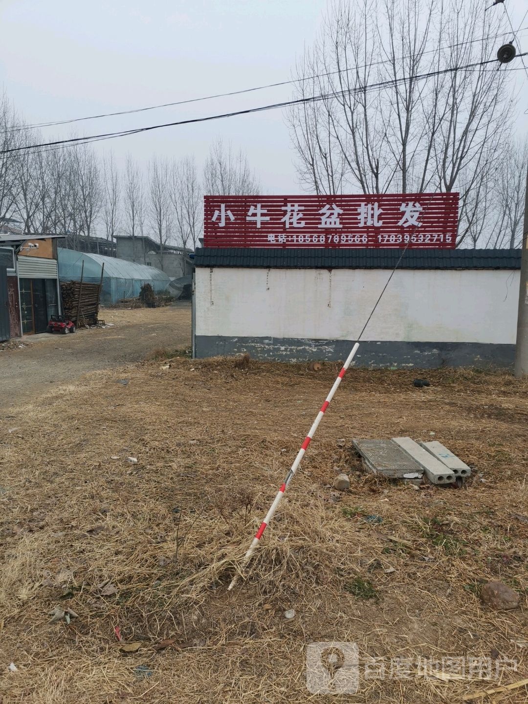 小牛花盆批发