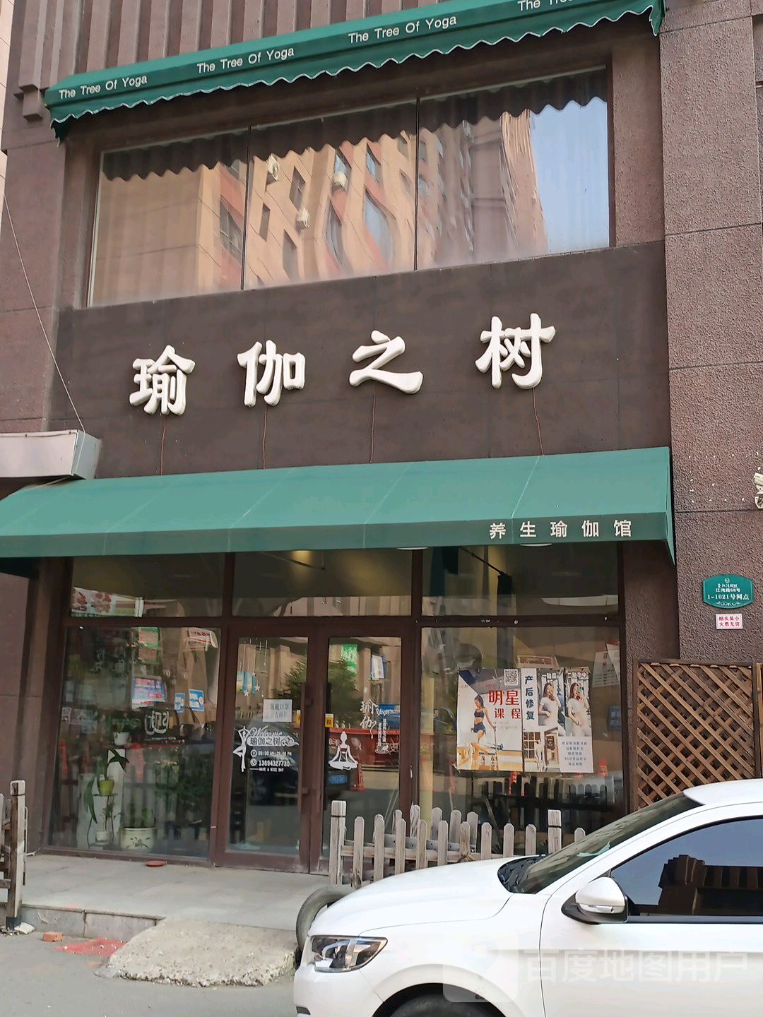 瑜伽之树