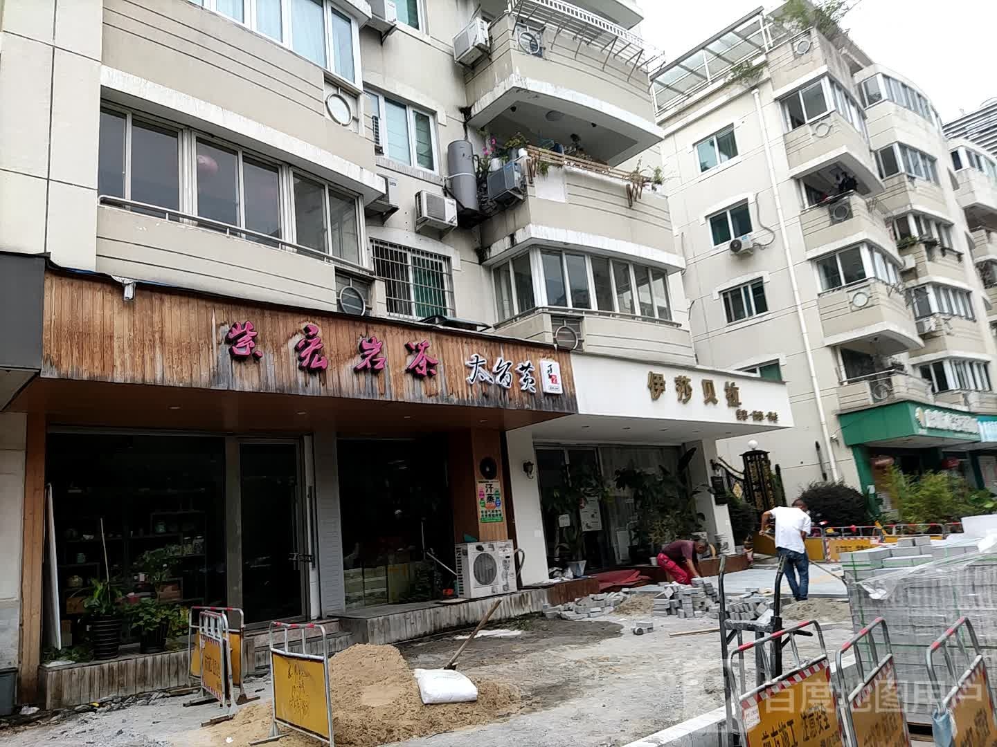紫宏岩茶(温州总批发)