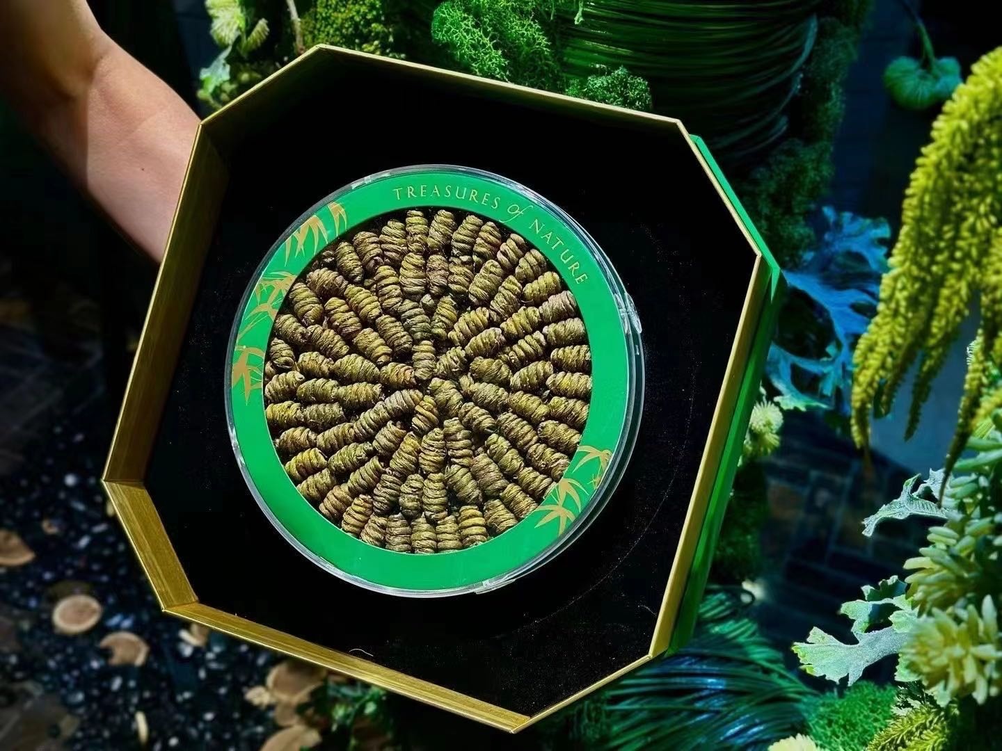 唯安集燕窝虫草海参石斛(宁波鄞州万达广场店)
