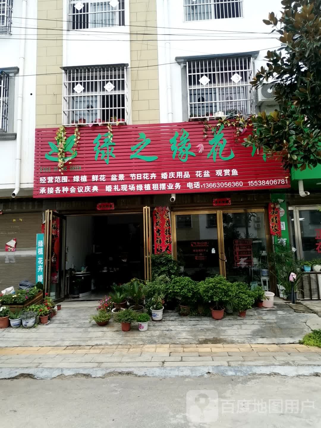 唐河县黑龙镇绿之缘花卉(龙兴路店)