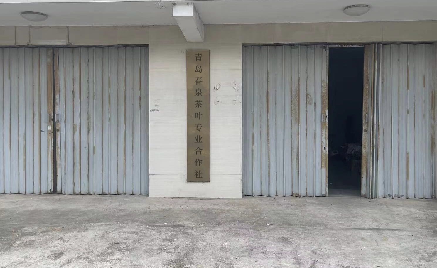 青岛春泉茶叶专业合作社