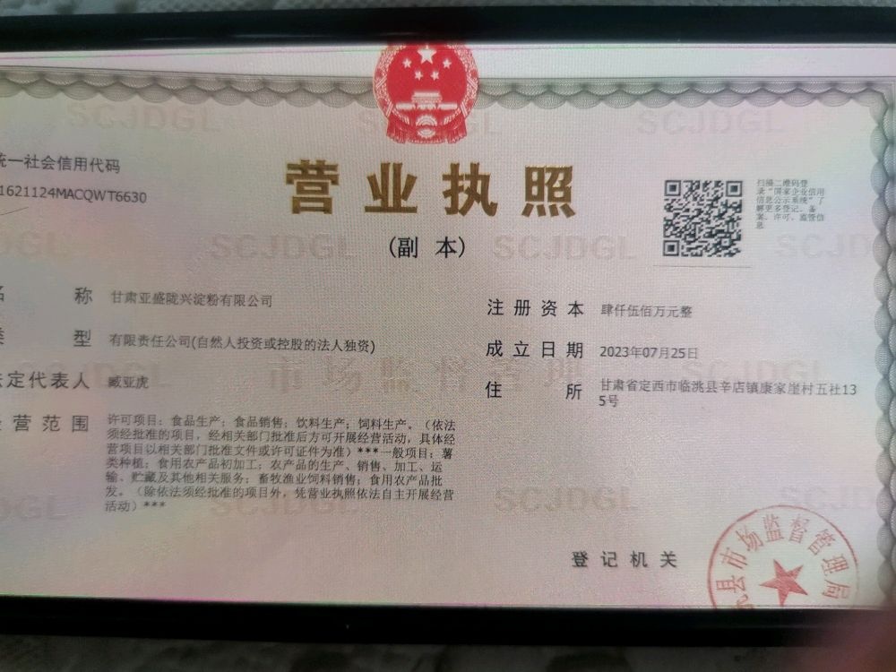 甘肃亚盛陇兴淀粉有限公司