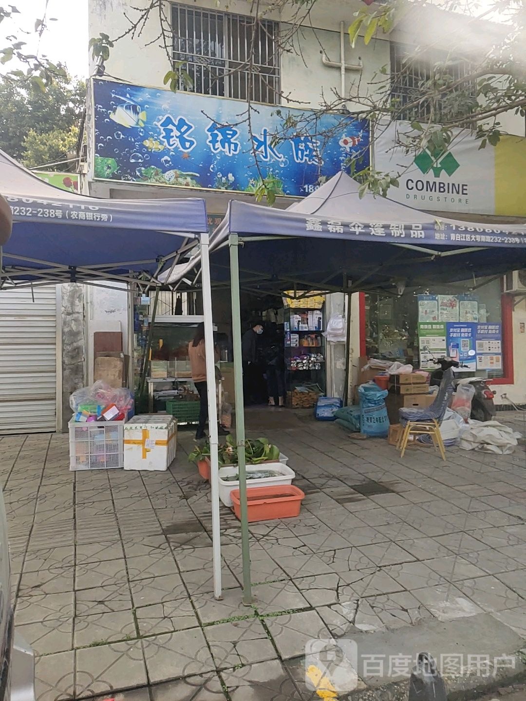 铭锦水族(香林名宅店)