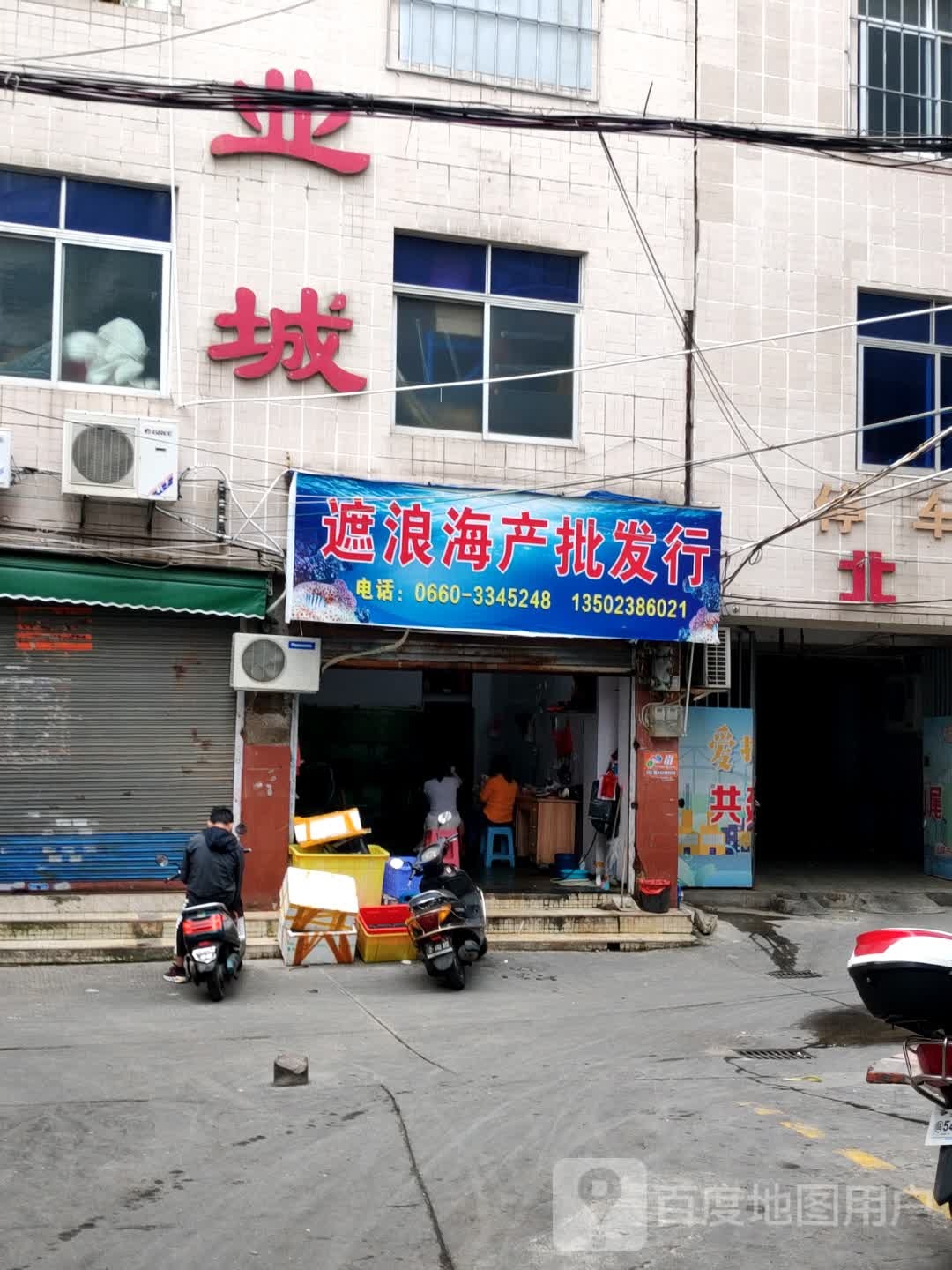遮浪海产批发行